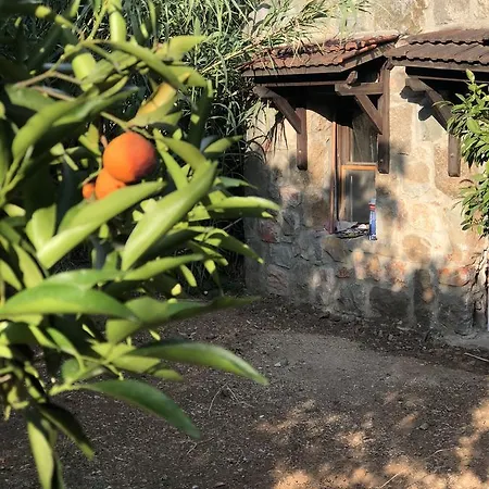 Casa de Férias Rita's Farm And Houses Muğla
