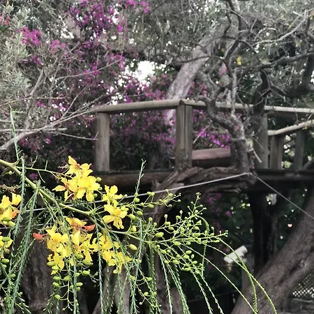 Rita's Farm And Houses * Muğla