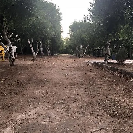 Rita's Farm And Houses موجلا
